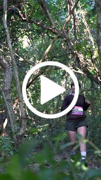 BIB:  <button type="button" onclick="openModal(28056335)" class="btn btn-primary btn-sm float-right" data-toggle="modal" data-target=".modal-high-quality">
                <i class="fa fa-download"></i> Download
                </button>